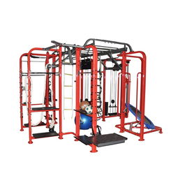 室內健身房綜合訓練器 多功能健身器材及配套教育軟件的應用